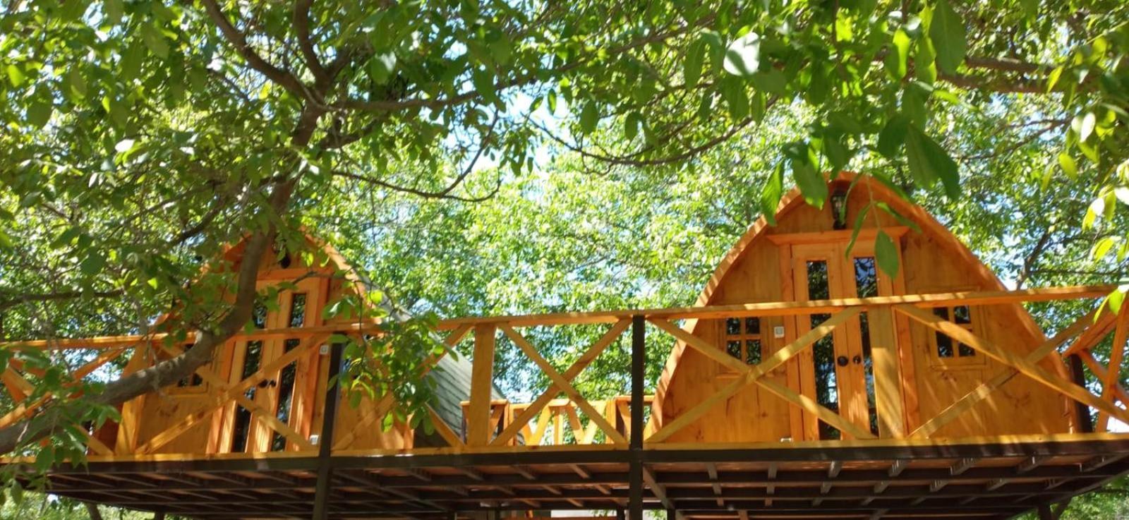 Cabanas Penaflor Glamping 외부 사진