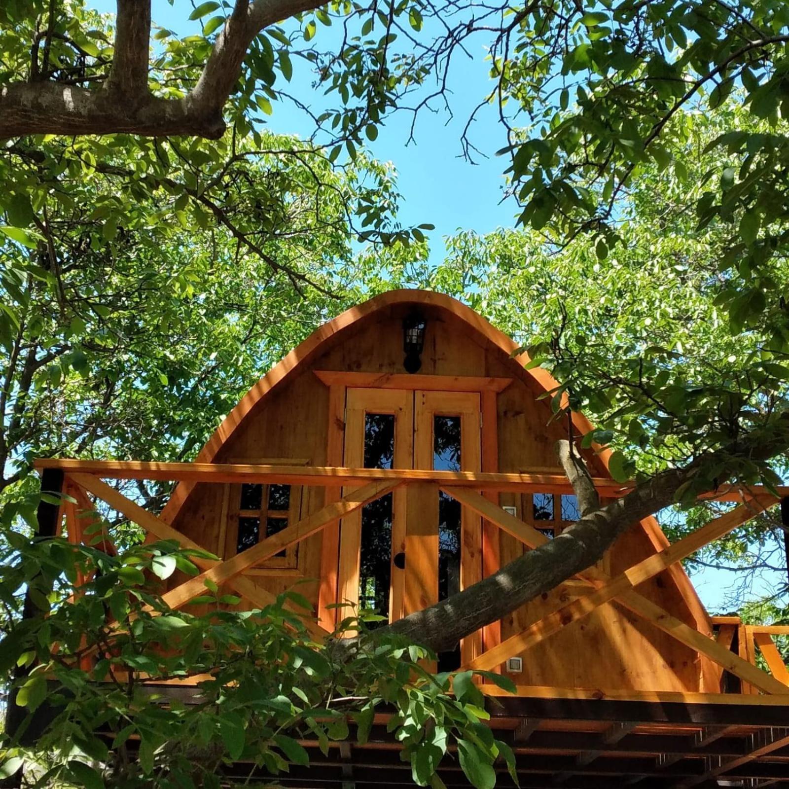 Cabanas Penaflor Glamping 외부 사진